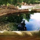 Reflejos en el Nacimiento del Río Segura, a 5 KM de Pontones (Jaén ) España