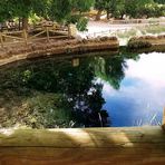 Reflejos en el Nacimiento del Río Segura, a 5 KM de Pontones (Jaén ) España