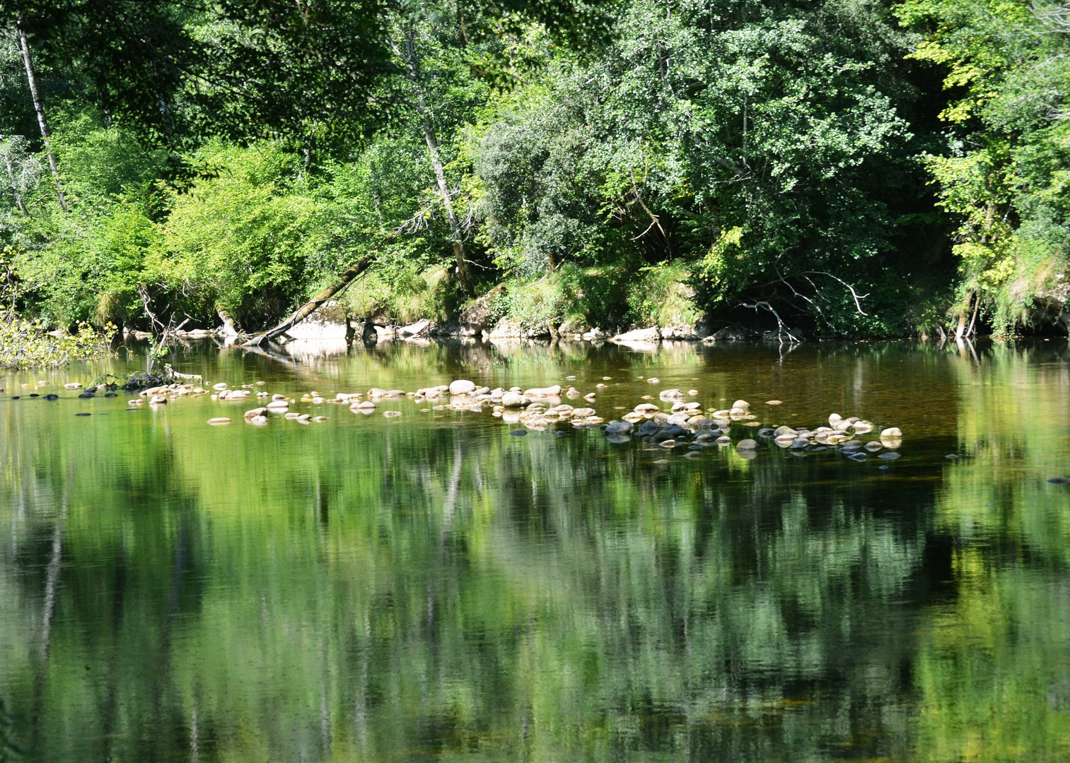 Reflejos en el Rio