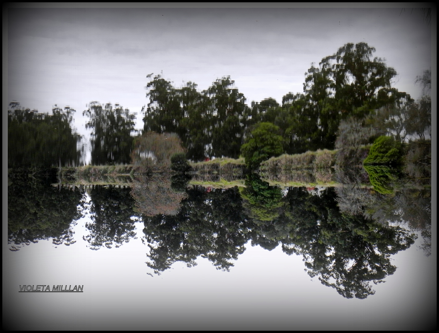 REFLEJOS EN EL RIO