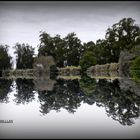 REFLEJOS EN EL RIO