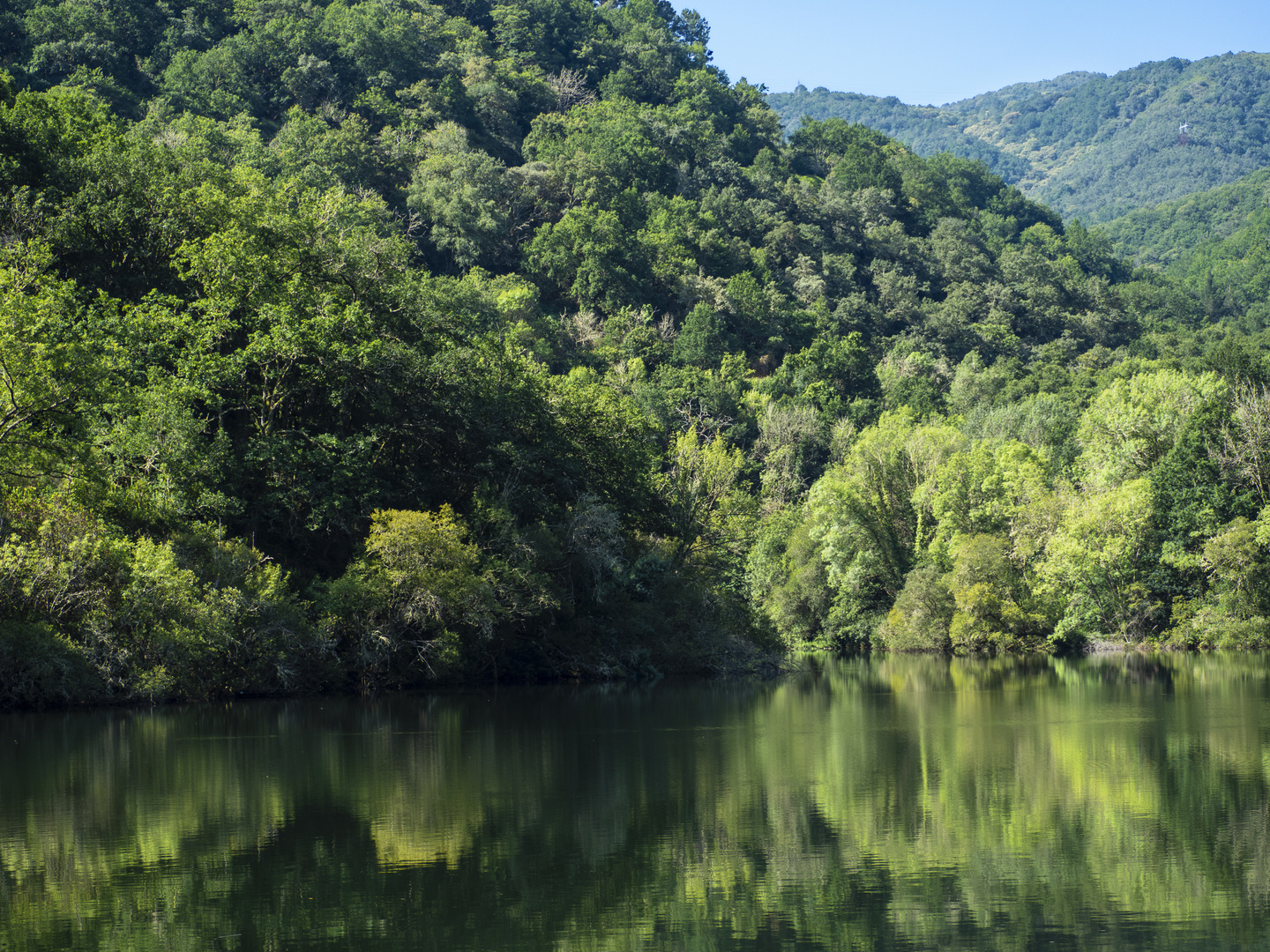 Reflejos en el Rio Miño.