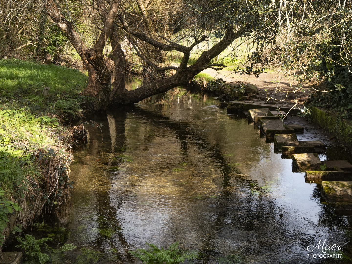 Reflejos en el Rio Sarela.