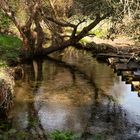 Reflejos en el Rio Sarela.