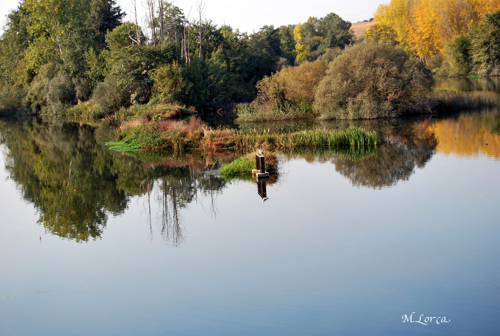 reflejos en el rio tormes