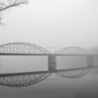 Reflejos en la niebla.