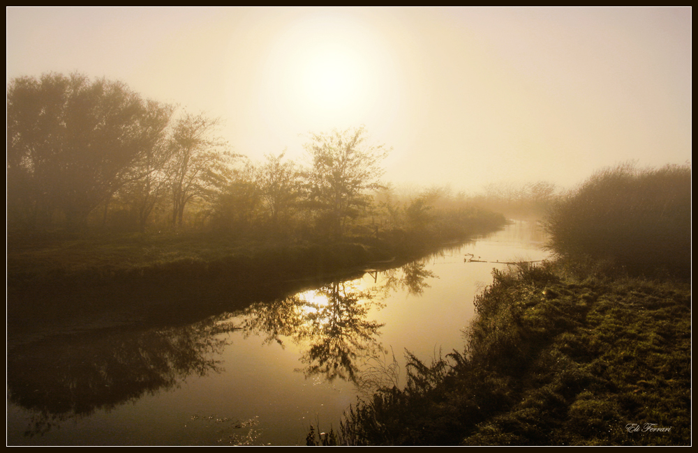 Reflejos en la niebla