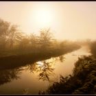 Reflejos en la niebla