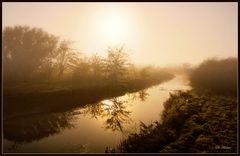 Reflejos en la niebla