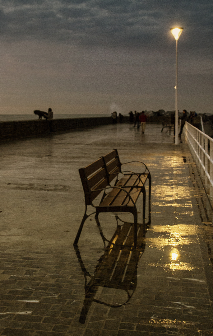 Reflejos en la noche