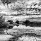 Reflejos en Las Bardenas Reales - Navarra.