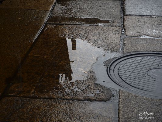 Reflejos en un charco.