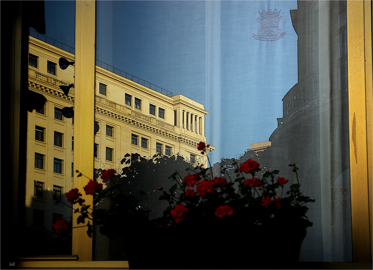 ...reflejos en una ventana...