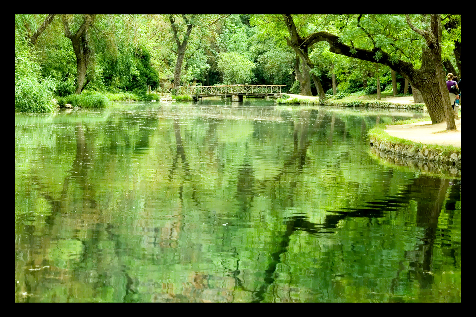 Reflejos en verde