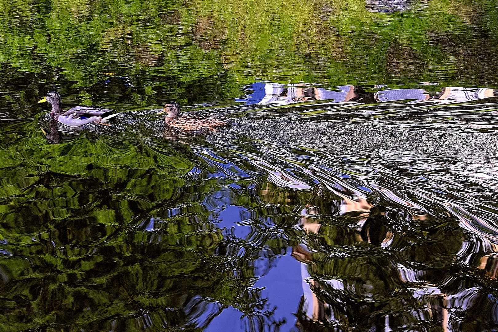 Reflejos