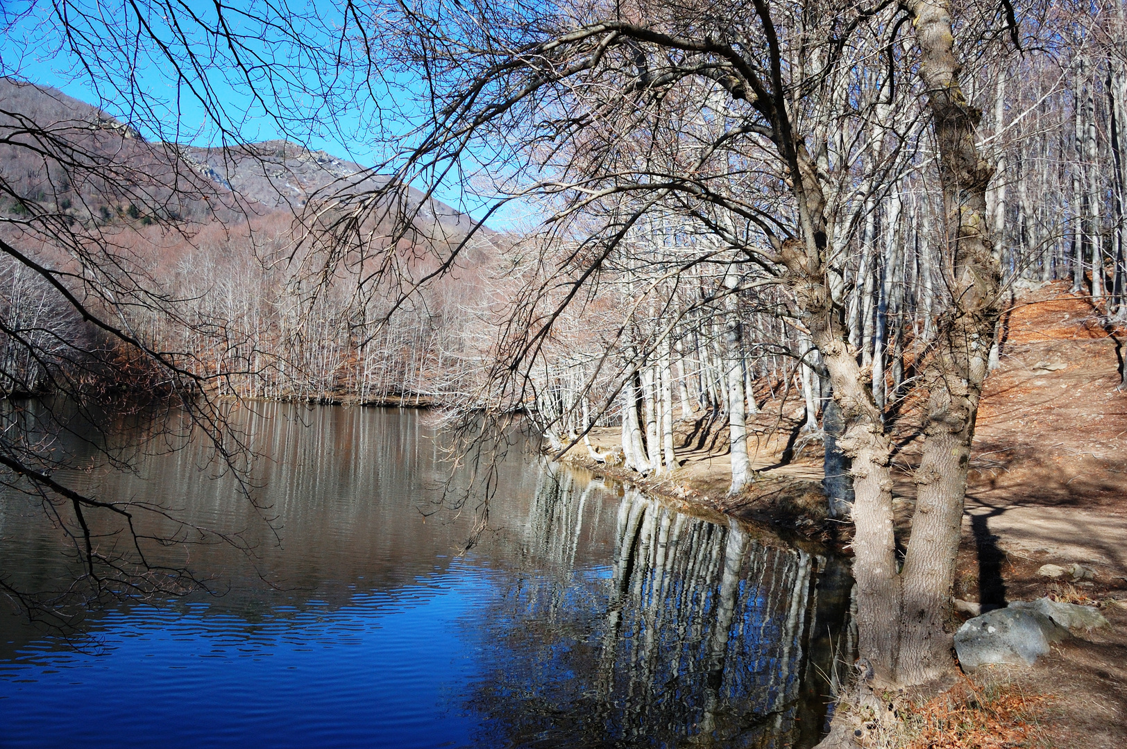 reflejos invernales