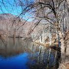 reflejos invernales