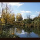 Reflejos Marugan