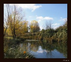 Reflejos Marugan