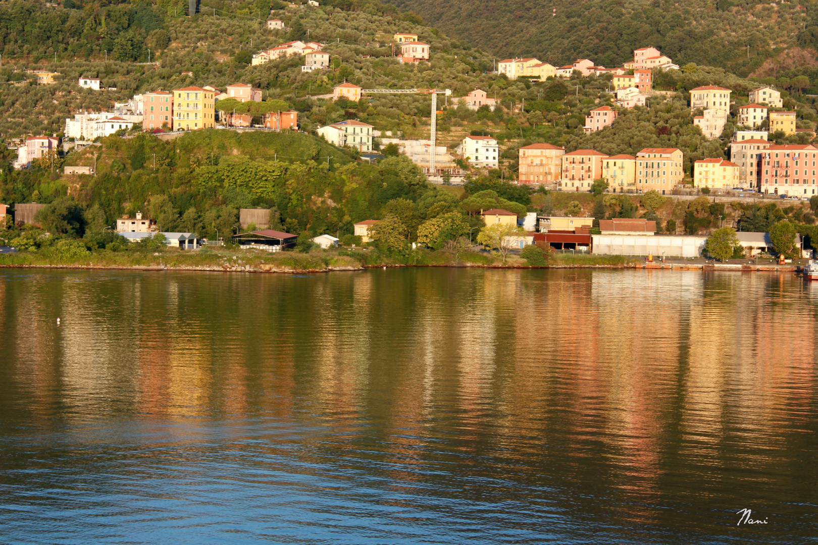 Reflejos matinales