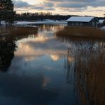 REFLEJOS NEVADOS