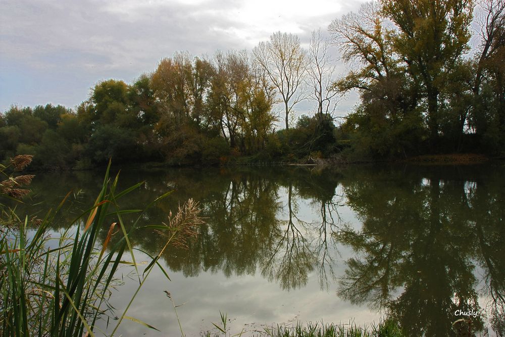 Reflejos otoñales