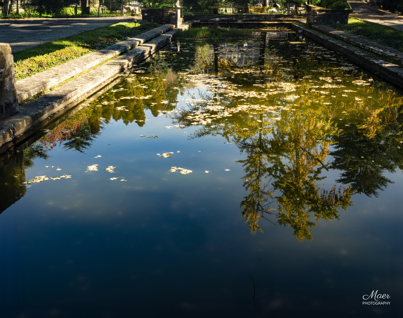 Reflejos otoñales.