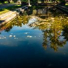 Reflejos otoñales.