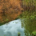 REFLEJOS OTOÑALES I