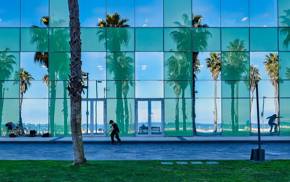 Reflejos tropicales   -   Reflexos tropicals