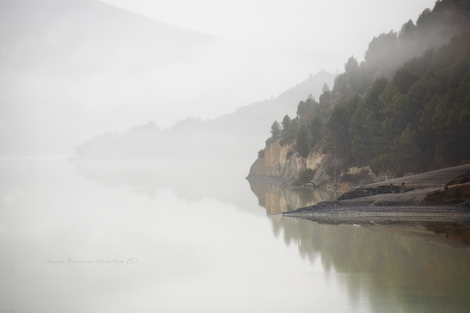 Reflejos y nieblas