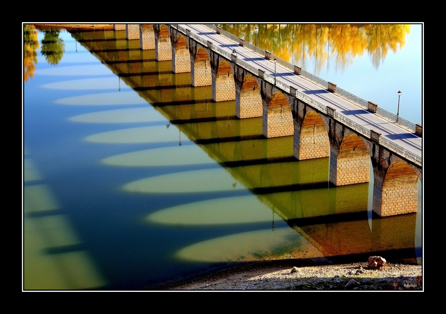 Reflejos y sombras