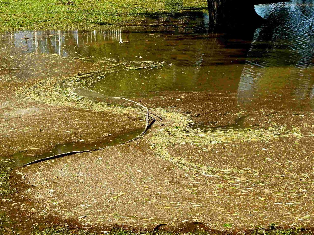 Reflejos y texturas