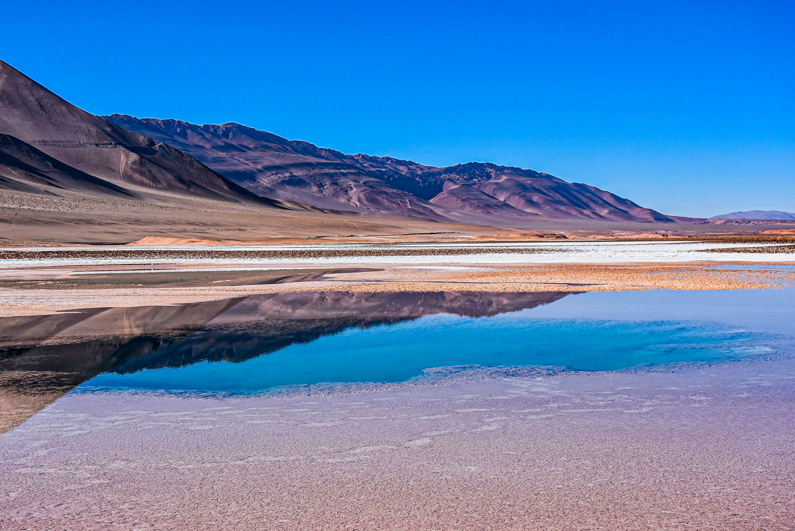 Reflejos y Texturas