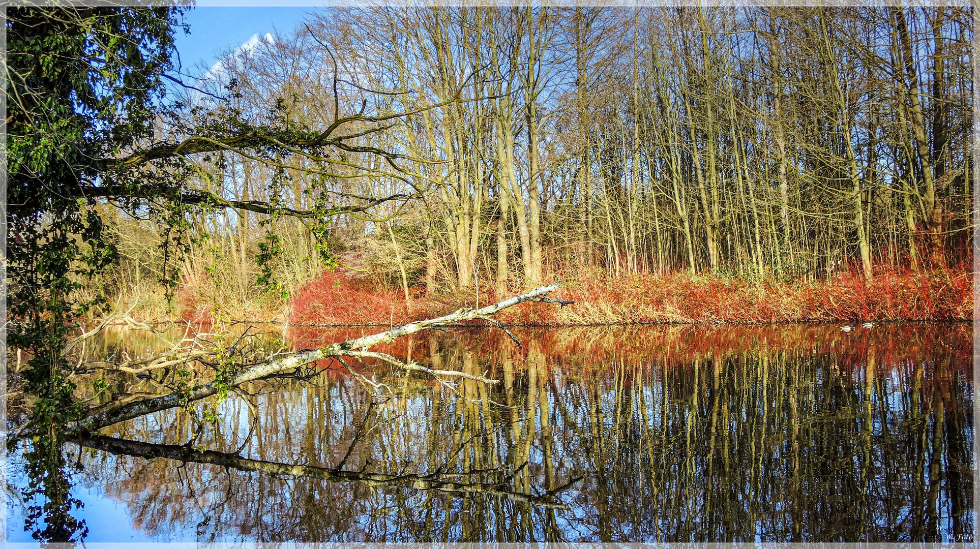 Reflektion im NSG  