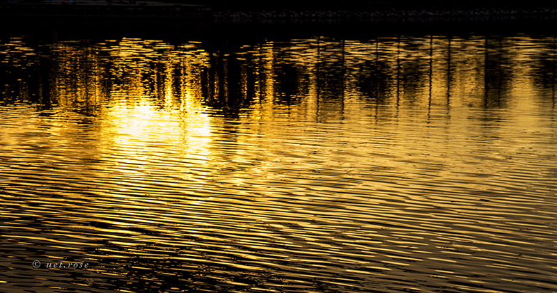 Reflektion in Gold