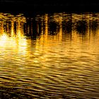 Reflektion in Gold