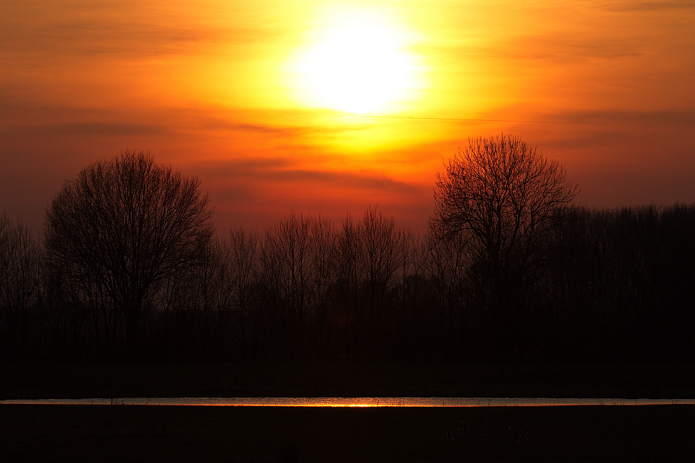 Reflektionen