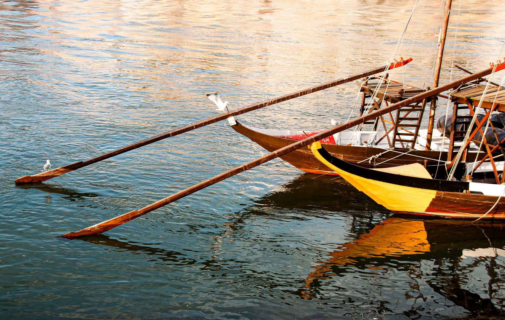 Reflektionen am Douro