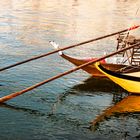 Reflektionen am Douro