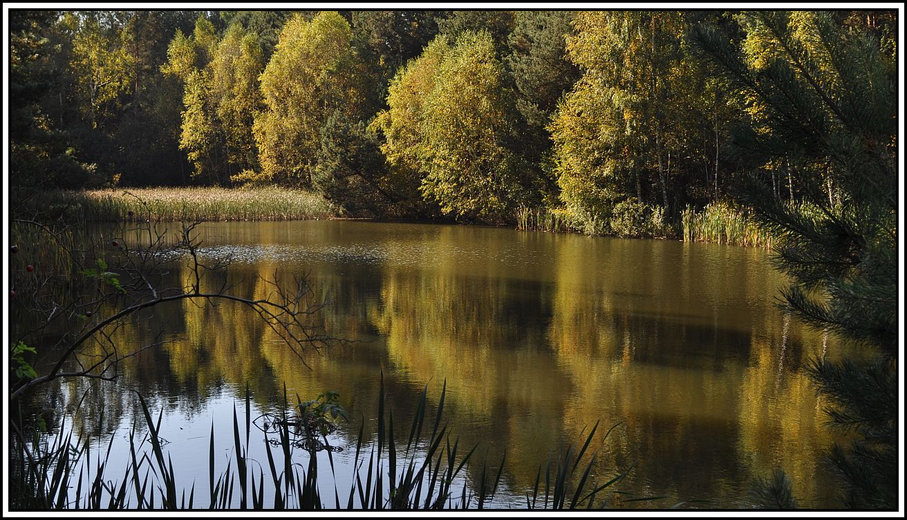 Reflektionen am kleinen Karstweiher....