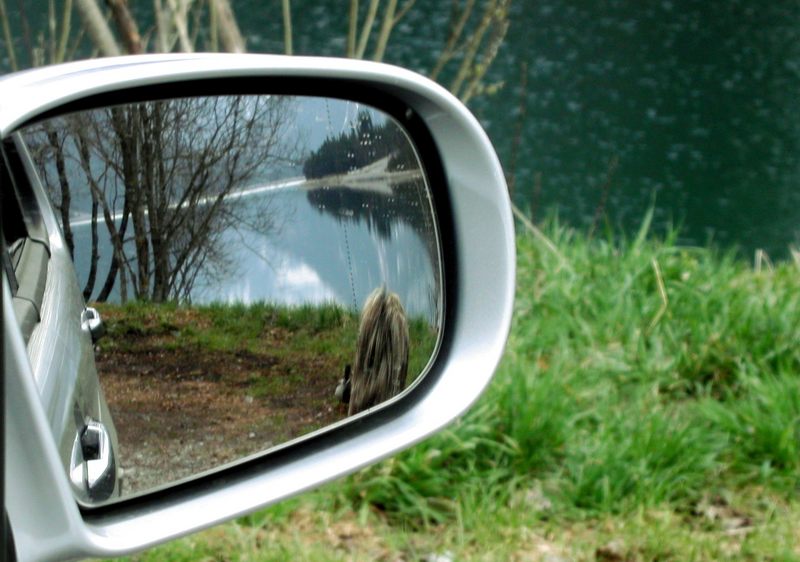 Reflektionen am Plansee