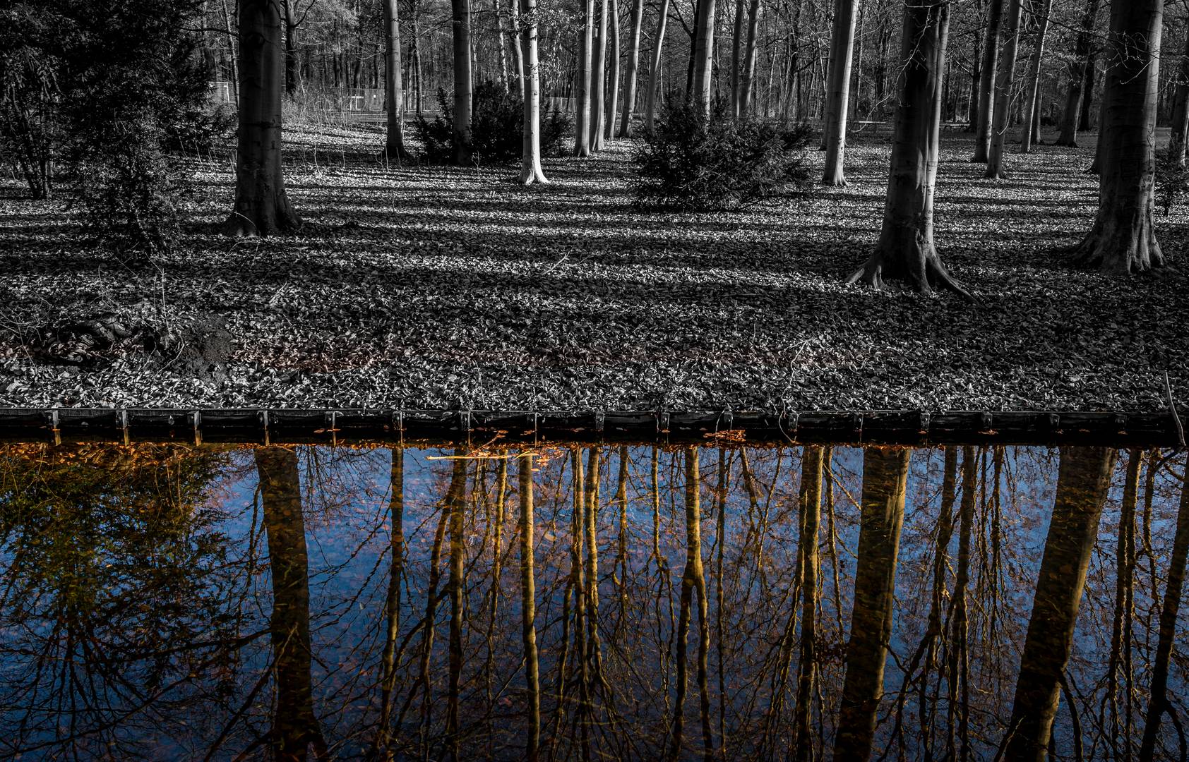 Reflektionen - Berlin Tiergarten