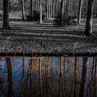 Reflektionen - Berlin Tiergarten