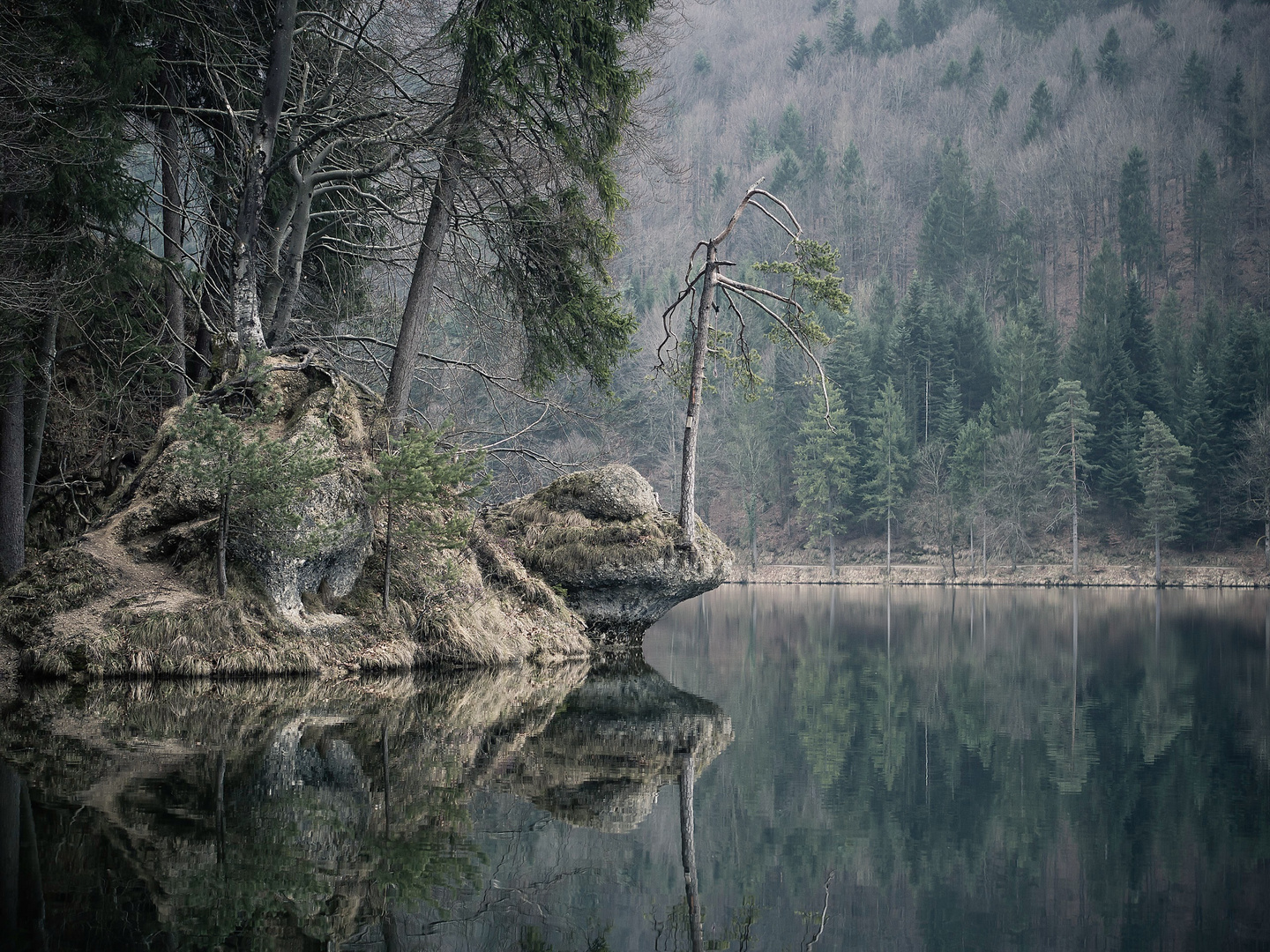 Reflektionen einer Herbstlandschaft