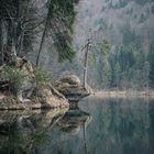 Reflektionen einer Herbstlandschaft