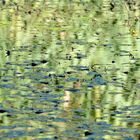 Reflektionen im Amphibienteich