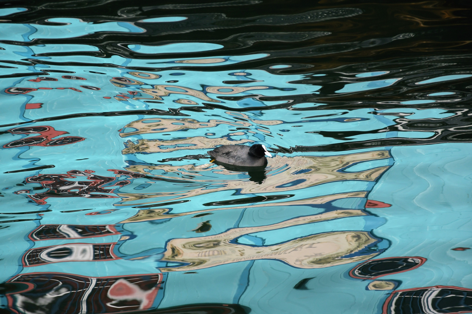 Reflektionen im Zürisee