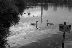 Reflektionen in Schwarz-Weiss