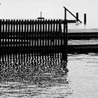 Reflektionen, Starnberger See, Deutschland, 2010